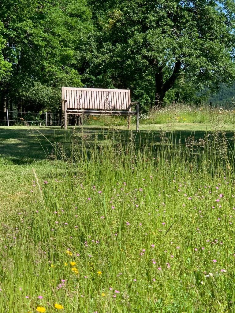 Ferienwohnung Urlaub Mit Hund Auf Dem Bauernhof Hofswald Euscheid Exterior foto