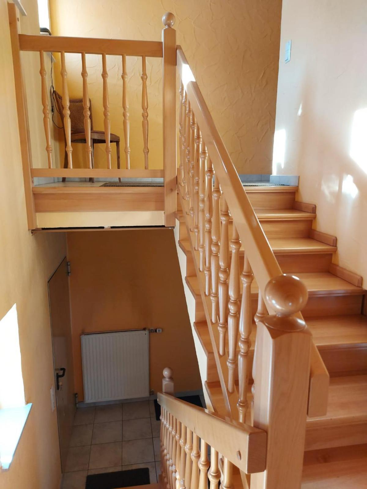 Ferienwohnung Urlaub Mit Hund Auf Dem Bauernhof Hofswald Euscheid Exterior foto